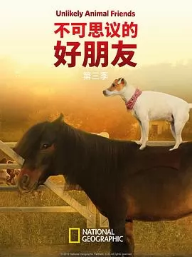 不可思议的好朋友第三季