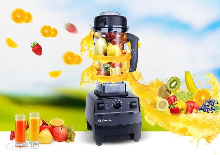 布兰泰维他美仕破壁机哪款比较好